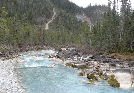 La rivière Takakkaw au parc Yoho (Alberta)