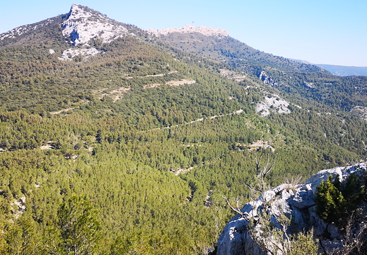 Elles avaient des métas